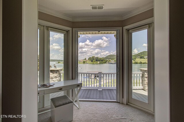 470 Reginas Pt, Sharps Chapel, TN 37866 - photo 27