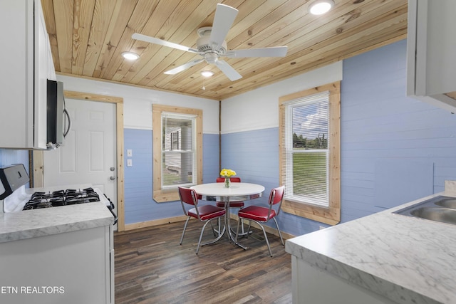 204 Queener St, Jacksboro, TN 37757 - kitchen featuring wood ceiling, dark wood-style floors, gas range oven, stainless steel microwave, and a ceiling fan