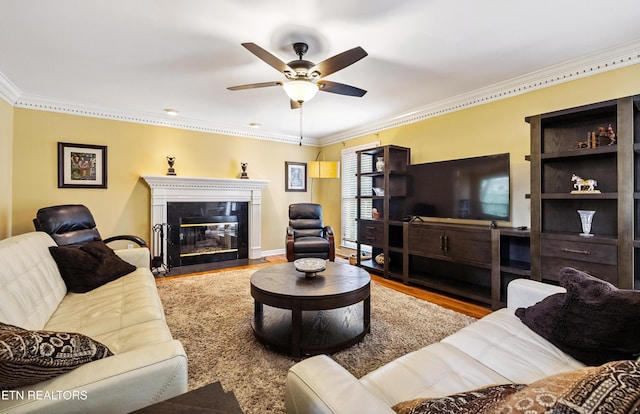 1800 Swinford Ct, Knoxville, TN 37922 - photo 7