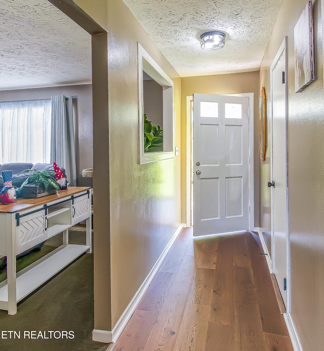 181 Overlook Ln, Jacksboro, TN 37757 - doorway to outside featuring a textured ceiling, wood finished floors, and healthy amount of natural light
