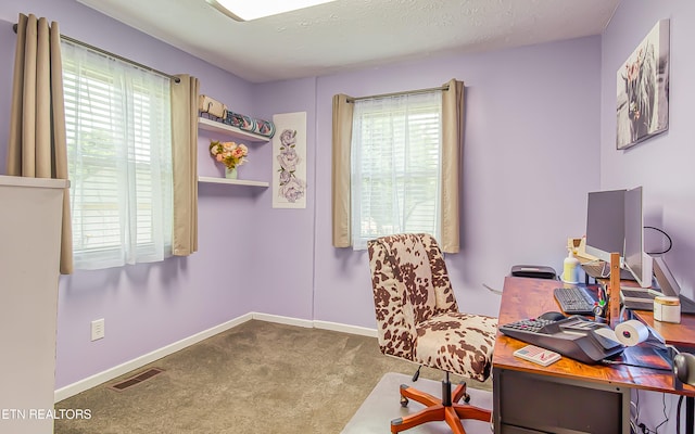 181 Overlook Ln, Jacksboro, TN 37757 - office space featuring healthy amount of natural light, carpet flooring, and a textured ceiling
