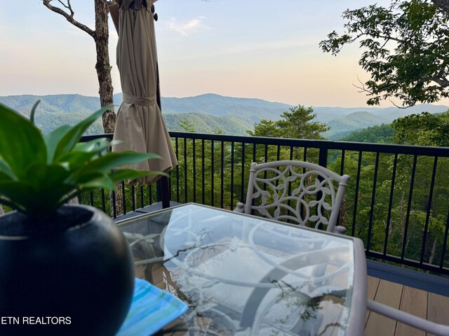 550 Steer Creek Rd, Tellico Plains, TN 37385 - photo 18