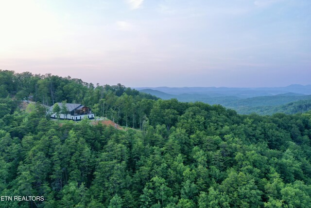 550 Steer Creek Rd, Tellico Plains, TN 37385 - photo 27