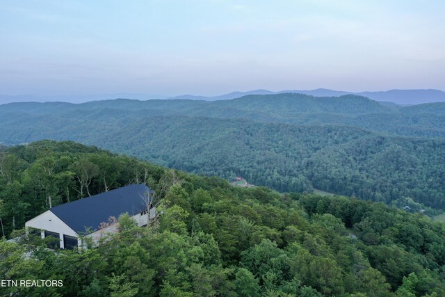 550 Steer Creek Rd, Tellico Plains, TN 37385 - photo 28