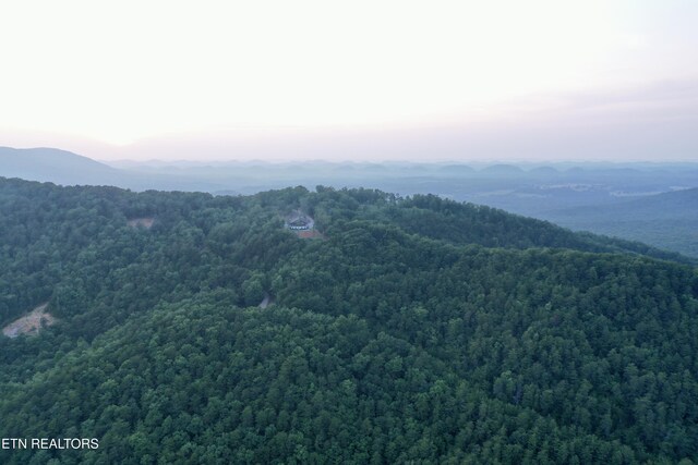 550 Steer Creek Rd, Tellico Plains, TN 37385 - photo 29