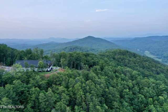 550 Steer Creek Rd, Tellico Plains, TN 37385 - photo 33
