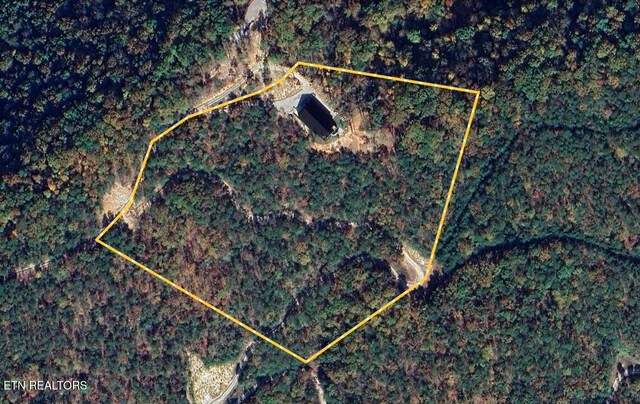 550 Steer Creek Rd, Tellico Plains, TN 37385 - photo 59