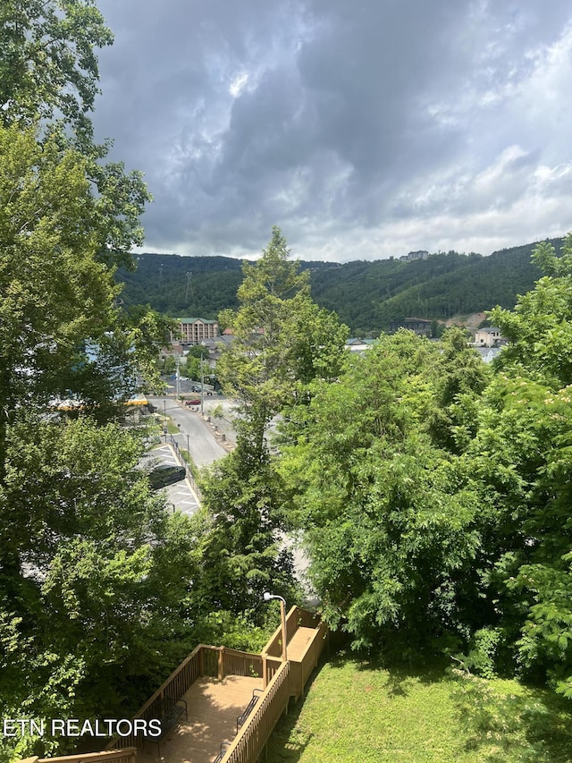 354 E Holly Ridge Rd Unit 354, Gatlinburg, TN 37738 - mountain view featuring a heavily wooded area