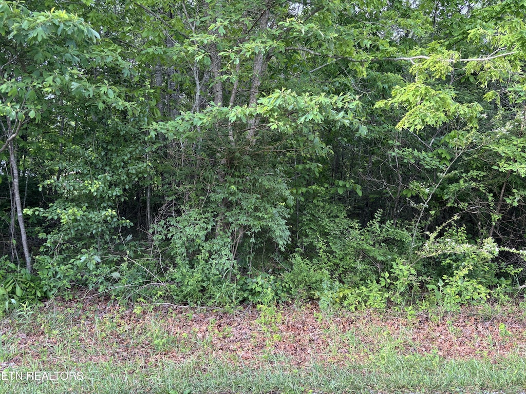 34 Choctaw Ln, Crossville, TN 38572 - photo 1