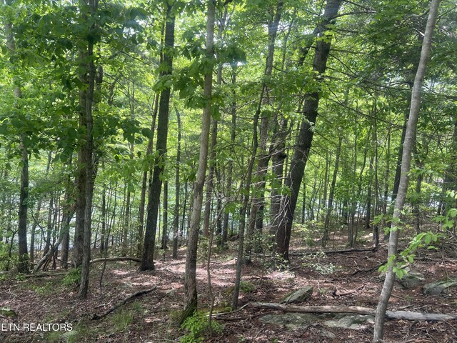 104 Chatham Ln, Fairfield Glade, TN 38558 - photo 4