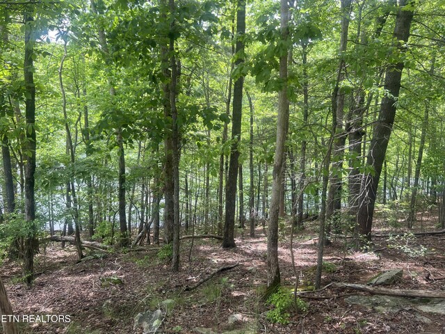 104 Chatham Ln, Fairfield Glade, TN 38558 - photo 5