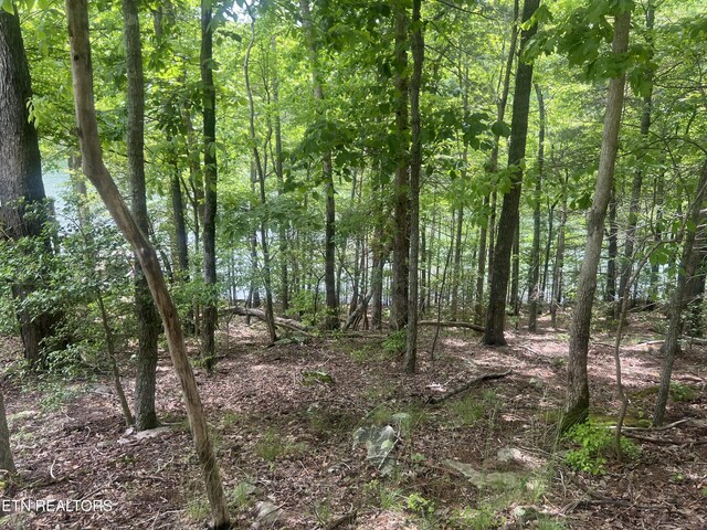 104 Chatham Ln, Fairfield Glade, TN 38558 - photo 6