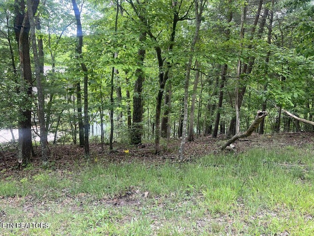 104 Chatham Ln, Fairfield Glade, TN 38558 - photo 9