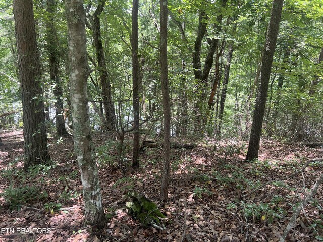 104 Chatham Ln, Fairfield Glade, TN 38558 - photo 10