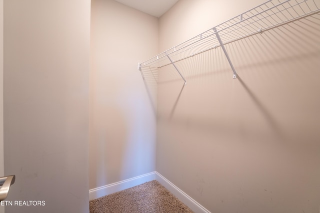 119 E Fortenberry St, Oak Ridge, TN 37830 - photo 27