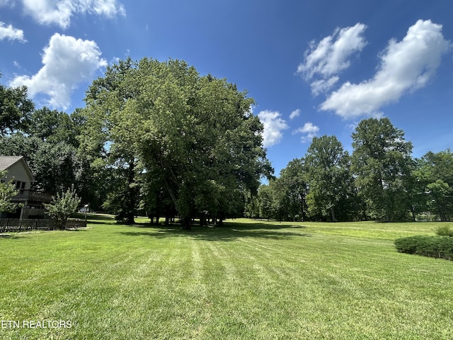302 Lake St, Harriman, TN 37748 - view of green lawn