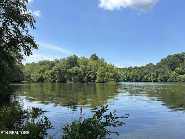 302 Lake St, Harriman, TN 37748 - water view featuring a forest