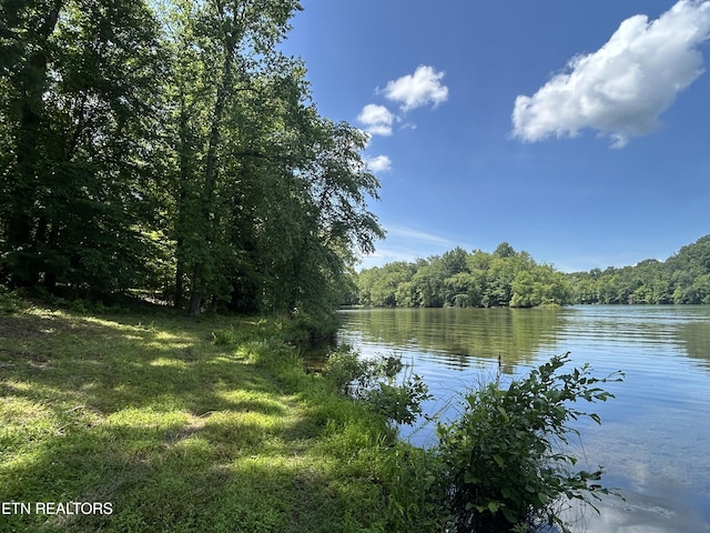302 Lake St, Harriman, TN 37748 - water view with a forest