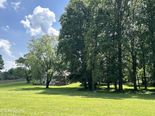 302 Lake St, Harriman, TN 37748 - view of grassy yard