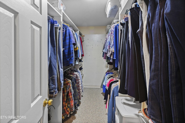 302 Lake St, Harriman, TN 37748 - walk in closet with carpet