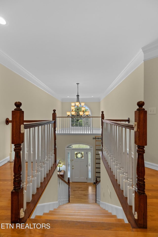 112 Reed Cir, Johnson City, TN 37601 - staircase featuring a chandelier, ornamental molding, and wood finished floors
