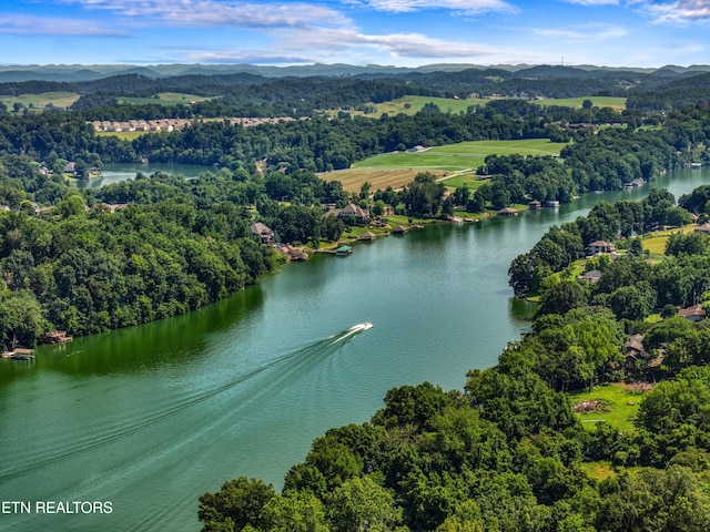 112 Reed Cir, Johnson City, TN 37601 - bird's eye view of a water and mountain view