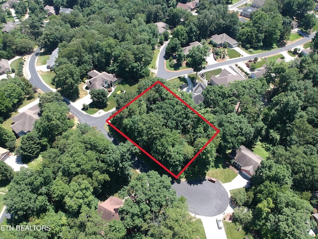 319 Kenosha Ln, Loudon, TN 37774 - photo 4