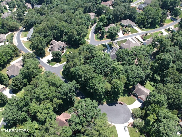 319 Kenosha Ln, Loudon, TN 37774 - photo 3