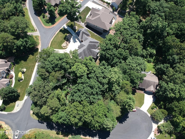 319 Kenosha Ln, Loudon, TN 37774 - photo 5