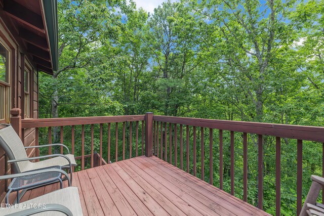 4224 Chamberlain Ln, Sevierville, TN 37862 - photo 24