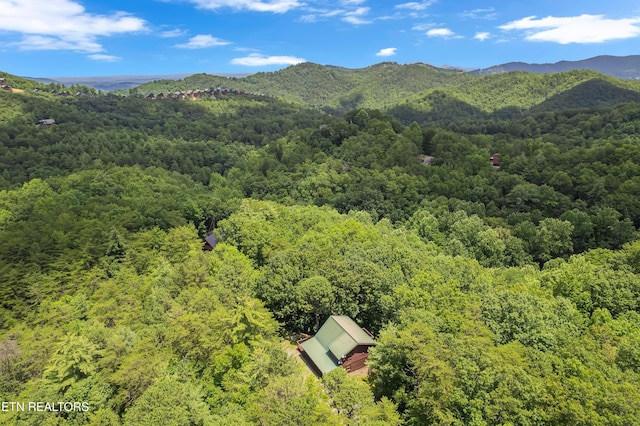 4224 Chamberlain Ln, Sevierville, TN 37862 - photo 26