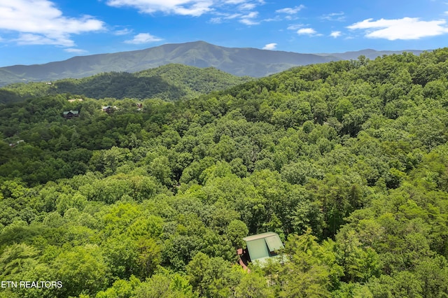 4224 Chamberlain Ln, Sevierville, TN 37862 - photo 27