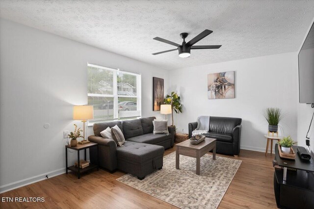 2342 E Glenwood Ave, Knoxville, TN 37917 - photo 7