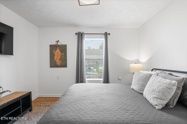 2342 E Glenwood Ave, Knoxville, TN 37917 - photo 18