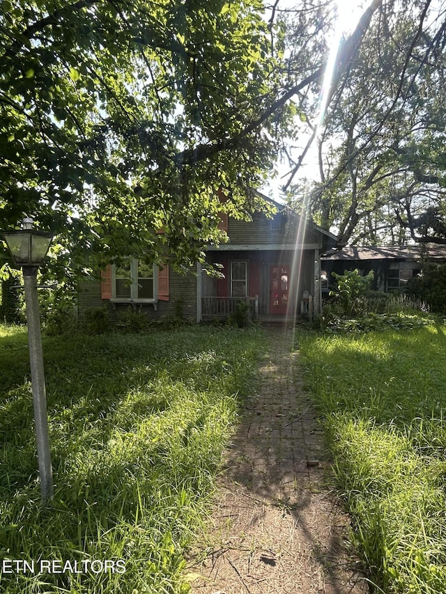 109 Old Deer Lodge Pike, Deer Lodge, TN 37726 - back of property
