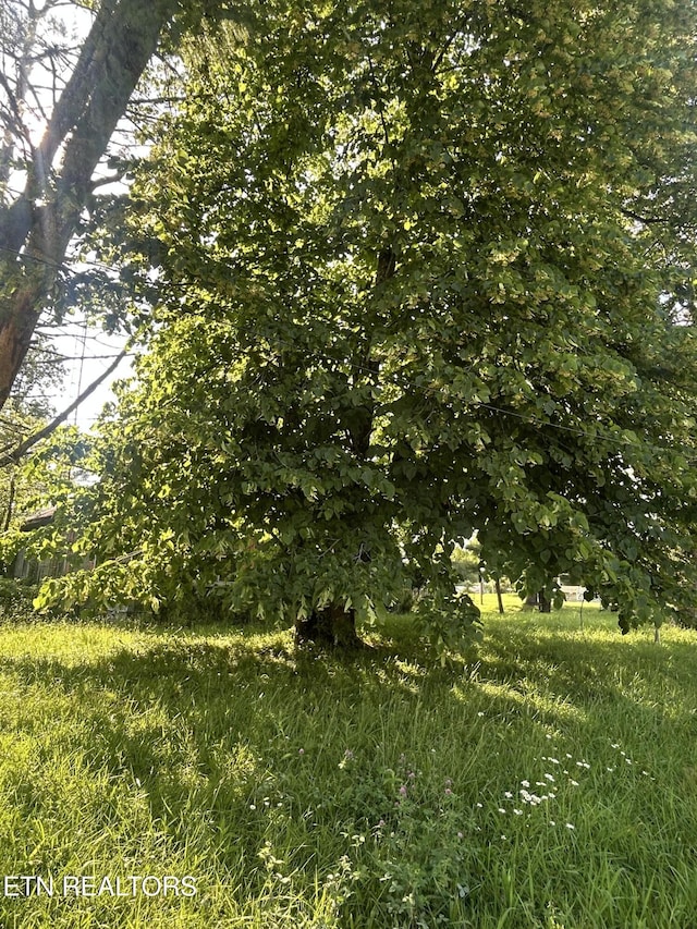 109 Old Deer Lodge Pike, Deer Lodge, TN 37726 - view of nature