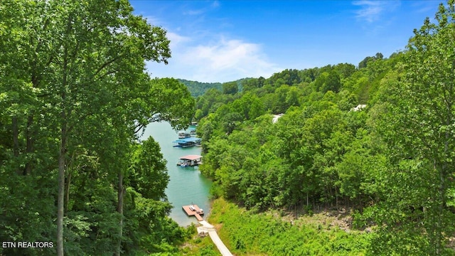 824 Deerfield Way, Lafollette, TN 37766 - water view featuring a dock and a forest