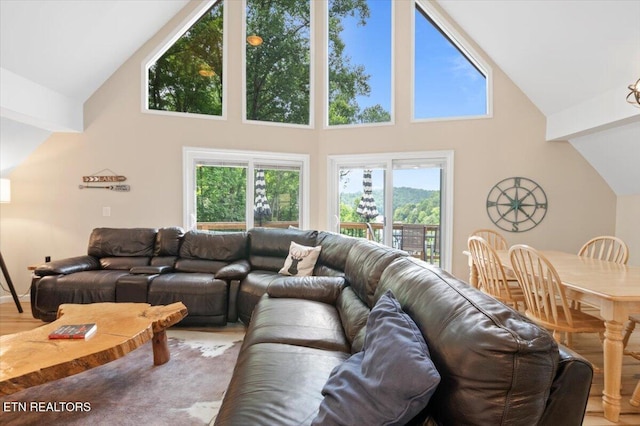 824 Deerfield Way, Lafollette, TN 37766 - living room featuring high vaulted ceiling and light wood-type flooring