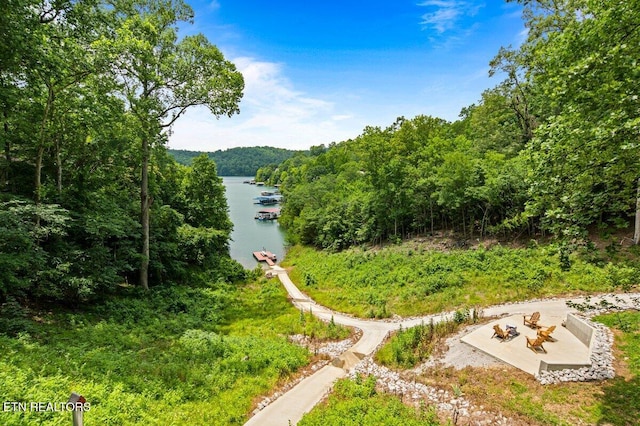 824 Deerfield Way, Lafollette, TN 37766 - view of yard featuring a water view and a view of trees