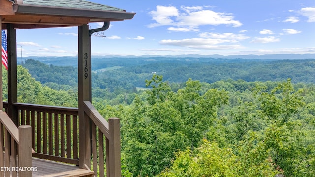 3169 Bear Mountain Ln, Sevierville, TN 37876 - view of mountain background featuring a heavily wooded area
