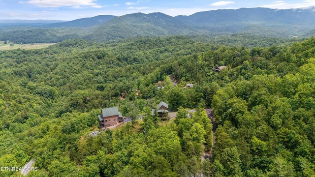 3169 Bear Mountain Ln, Sevierville, TN 37876 - aerial view of a forest and mountains