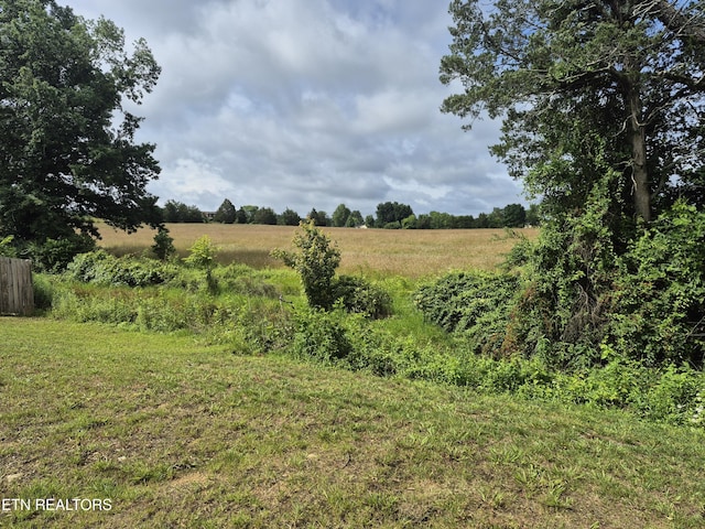 7515 Grasshopper Ln, Corryton, TN 37721 - view of undeveloped land with rural landscape