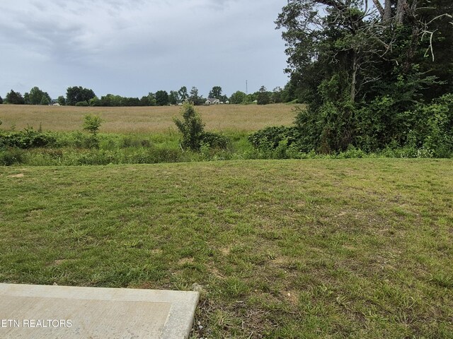 7515 Grasshopper Ln, Corryton, TN 37721 - view of green lawn featuring a rural view