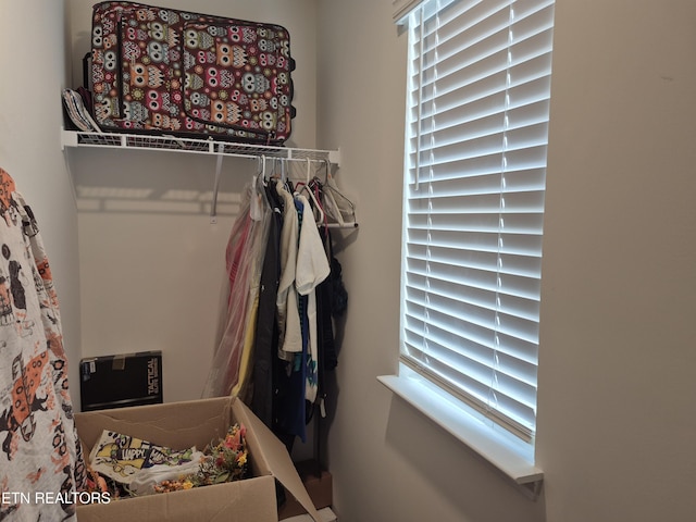 7515 Grasshopper Ln, Corryton, TN 37721 - view of spacious closet