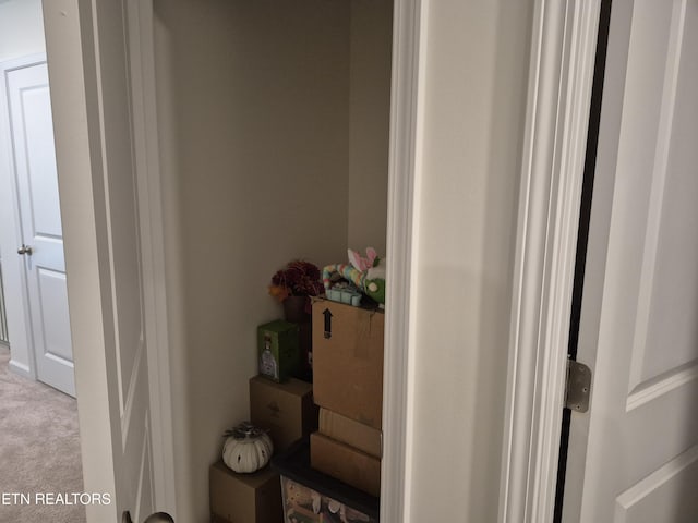 7515 Grasshopper Ln, Corryton, TN 37721 - detailed view of carpet floors