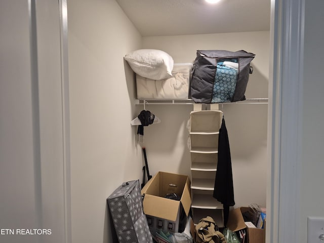 7515 Grasshopper Ln, Corryton, TN 37721 - view of spacious closet