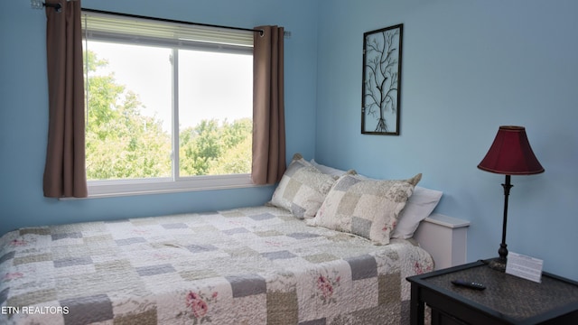 1260 Ski View Dr Apt 4202, Gatlinburg, TN 37738 - photo 4