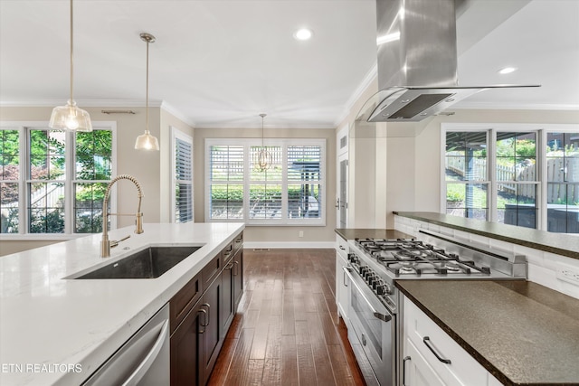 9208 Palomino Way, Knoxville, TN 37922 - kitchen featuring stainless steel range, island exhaust hood, dark wood-style floors, dishwashing machine, and crown molding