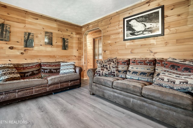 509 Thomas Loop Rd, Sevierville, TN 37876 - living room with wooden walls, wood finished floors, and arched walkways