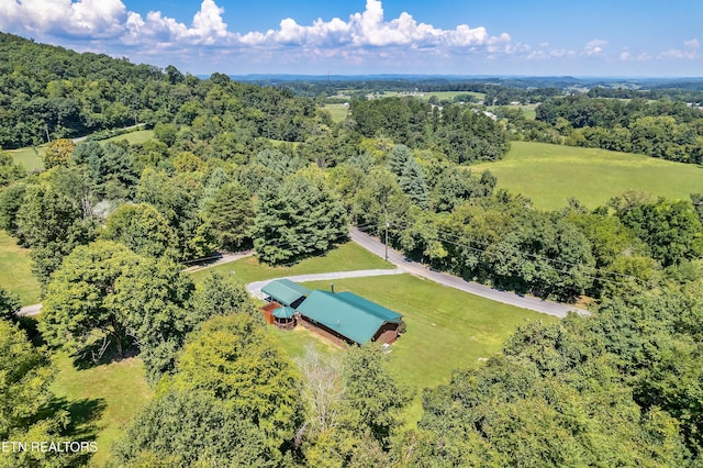 509 Thomas Loop Rd, Sevierville, TN 37876 - view of subject property featuring a forest